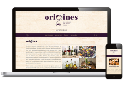 Small Business Website for Wine Bar, Origines