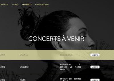 Music artist website concert page